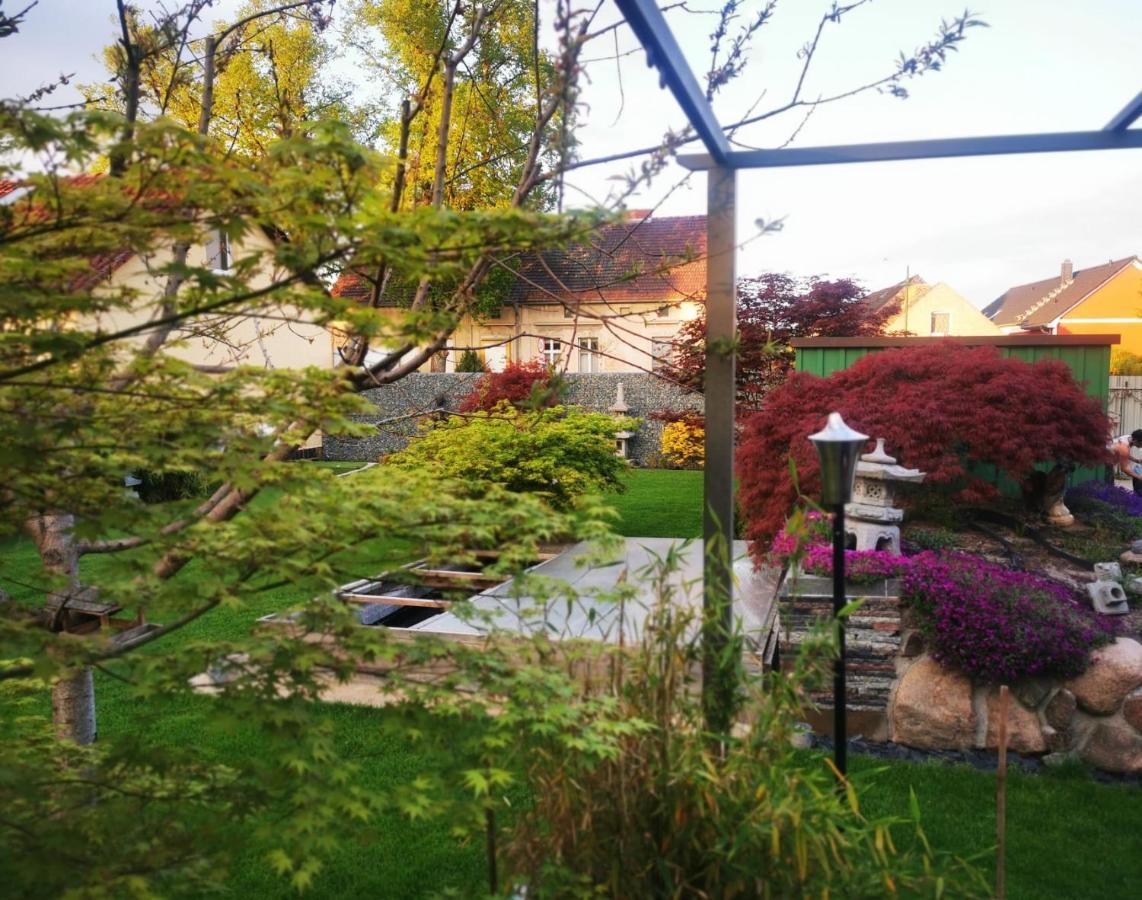 Heidesee Haus Lailaヴィラ エクステリア 写真